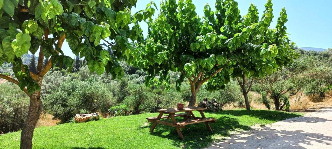 Lily Home_Lefkada ~ Private Country House Kondaraíni المظهر الخارجي الصورة