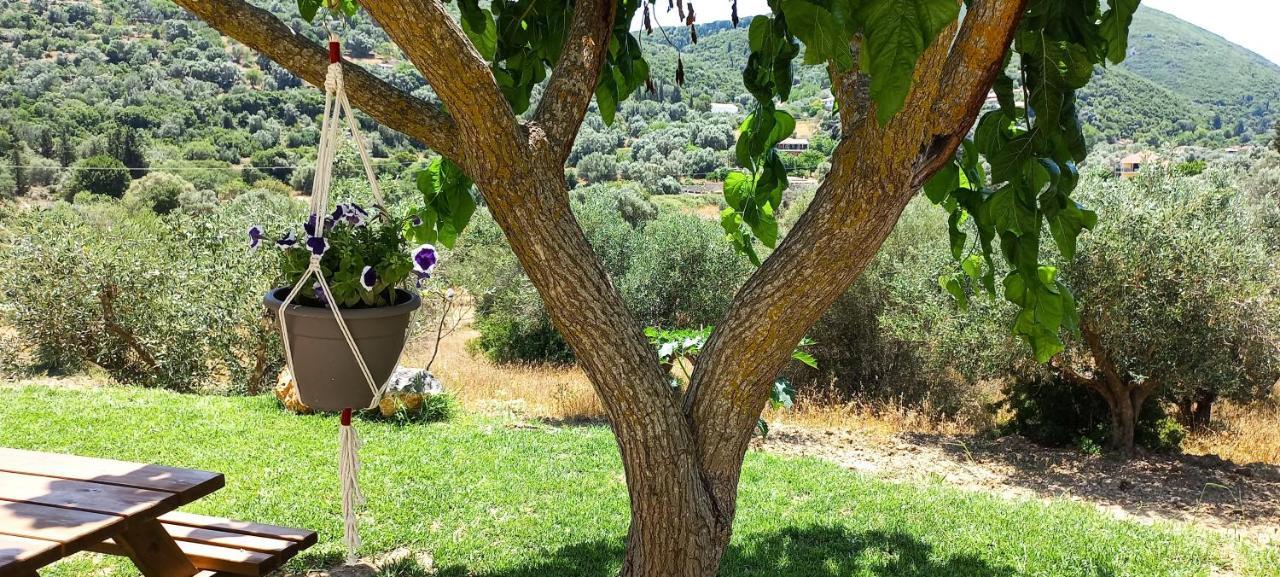 Lily Home_Lefkada ~ Private Country House Kondaraíni المظهر الخارجي الصورة
