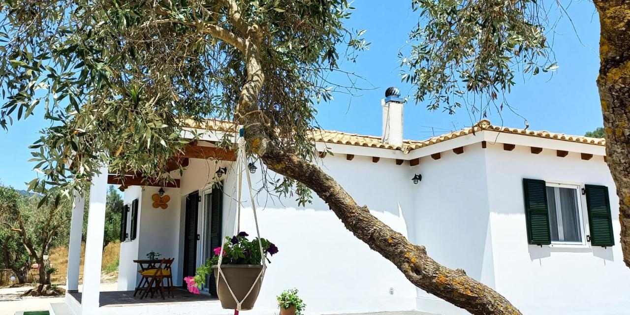 Lily Home_Lefkada ~ Private Country House Kondaraíni المظهر الخارجي الصورة