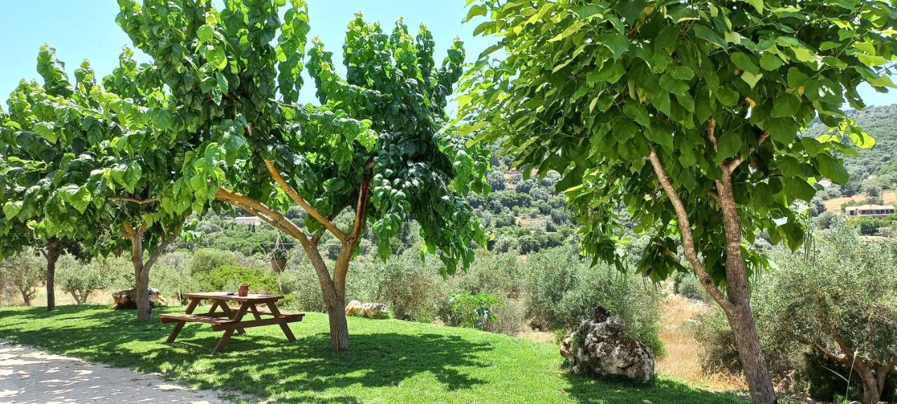 Lily Home_Lefkada ~ Private Country House Kondaraíni المظهر الخارجي الصورة