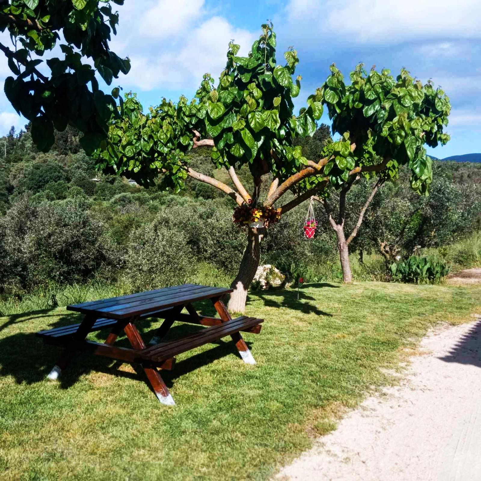 Lily Home_Lefkada ~ Private Country House Kondaraíni المظهر الخارجي الصورة
