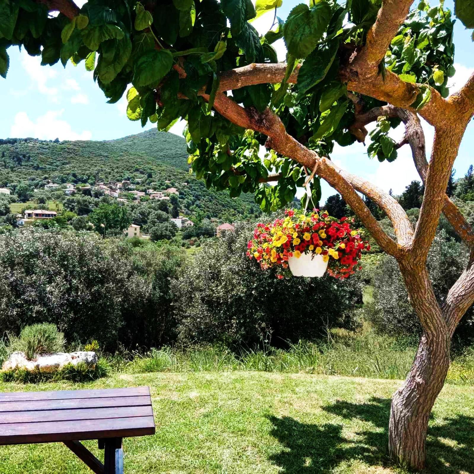 Lily Home_Lefkada ~ Private Country House Kondaraíni المظهر الخارجي الصورة